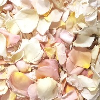 40 Cups IVORY CREAM Freeze Dried Rose Petals