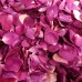 ROSE PETAL PACK 1
