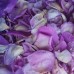 ROSE PETAL PACK 1