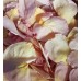 40cups/10litres Freeze Dried Rose Petals - Pastel pink
